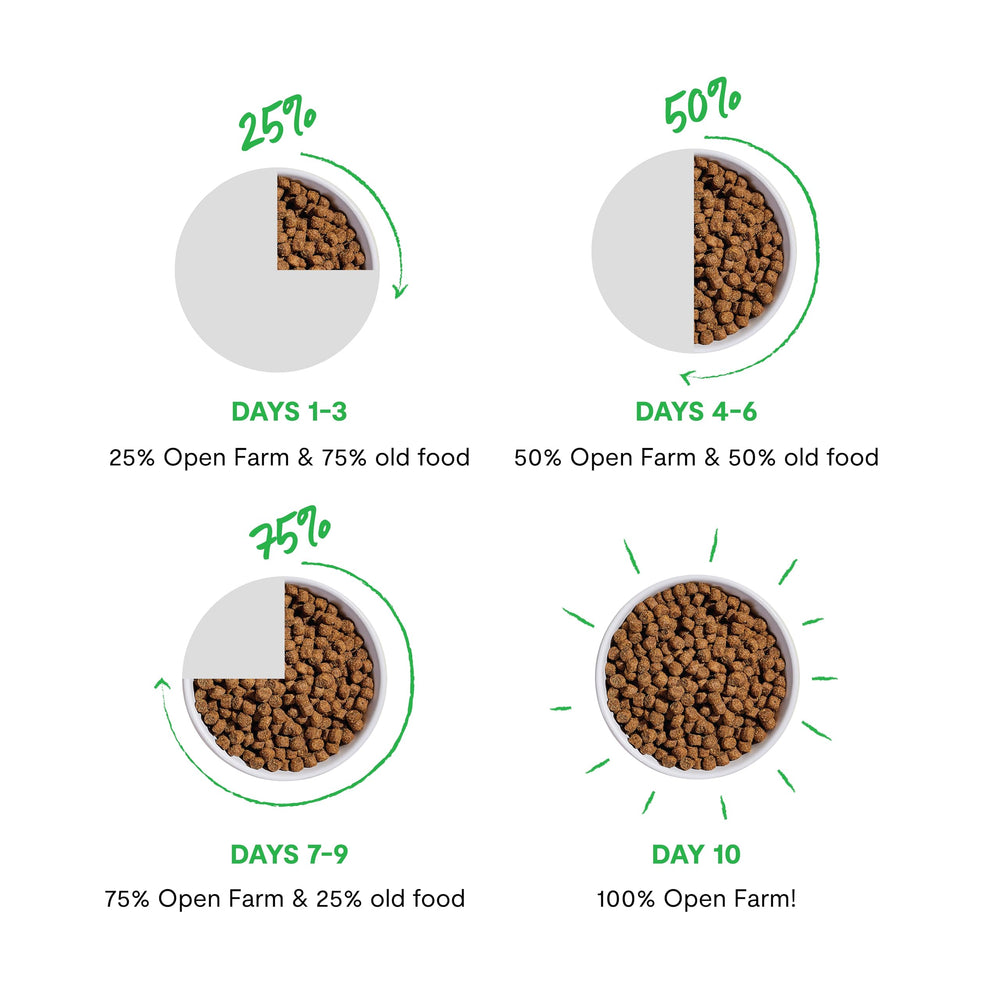 Open Farm serving bowl shows a ready-to-serve, appetizing meal for cats.