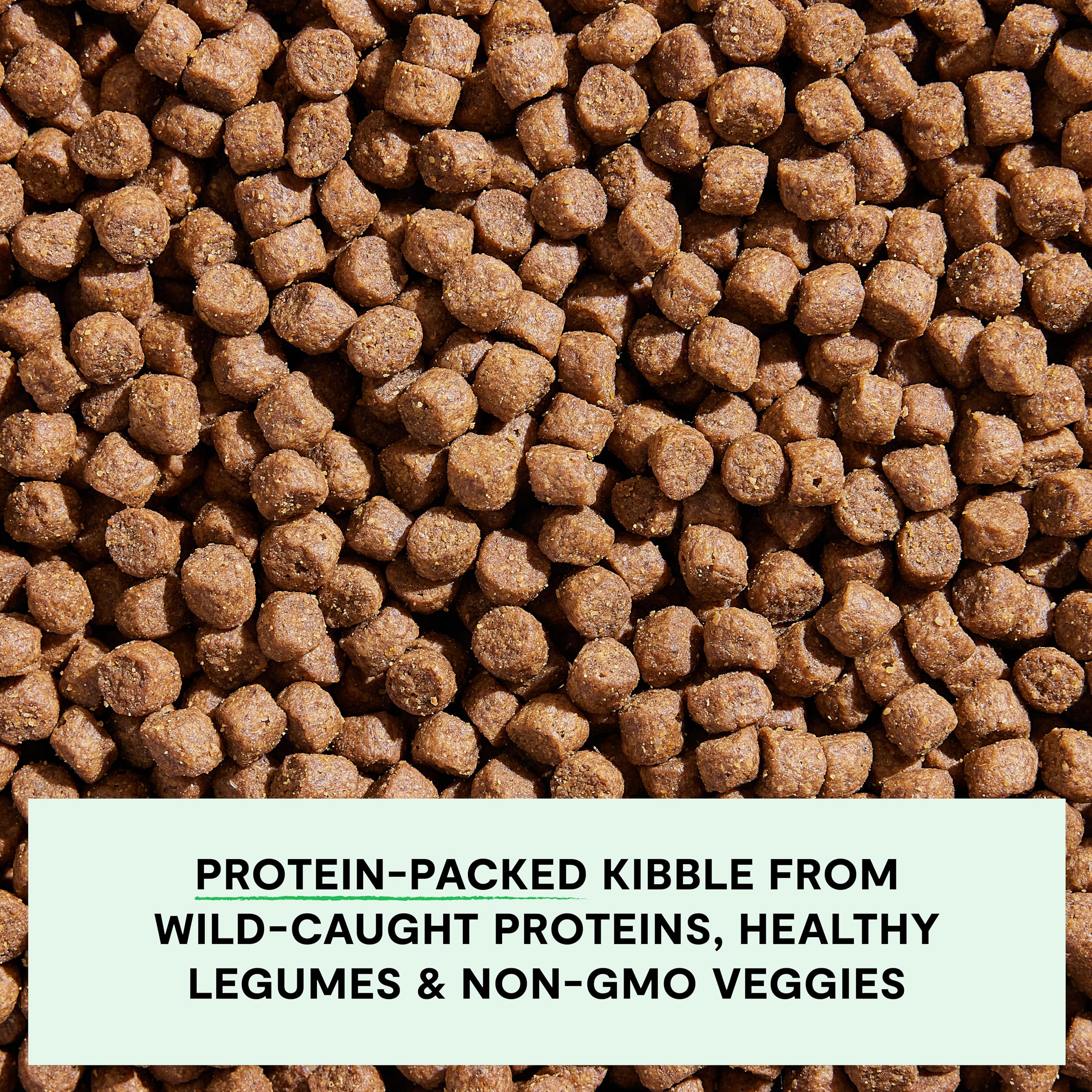 Open Farm traceable ingredients label communicates total transparency for mealtime choices.