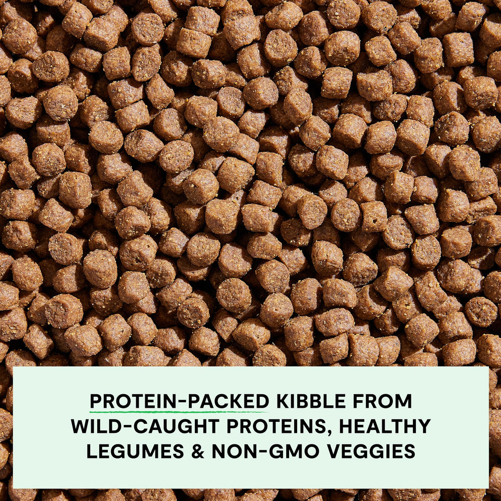 Open Farm traceable ingredients label communicates total transparency for mealtime choices.