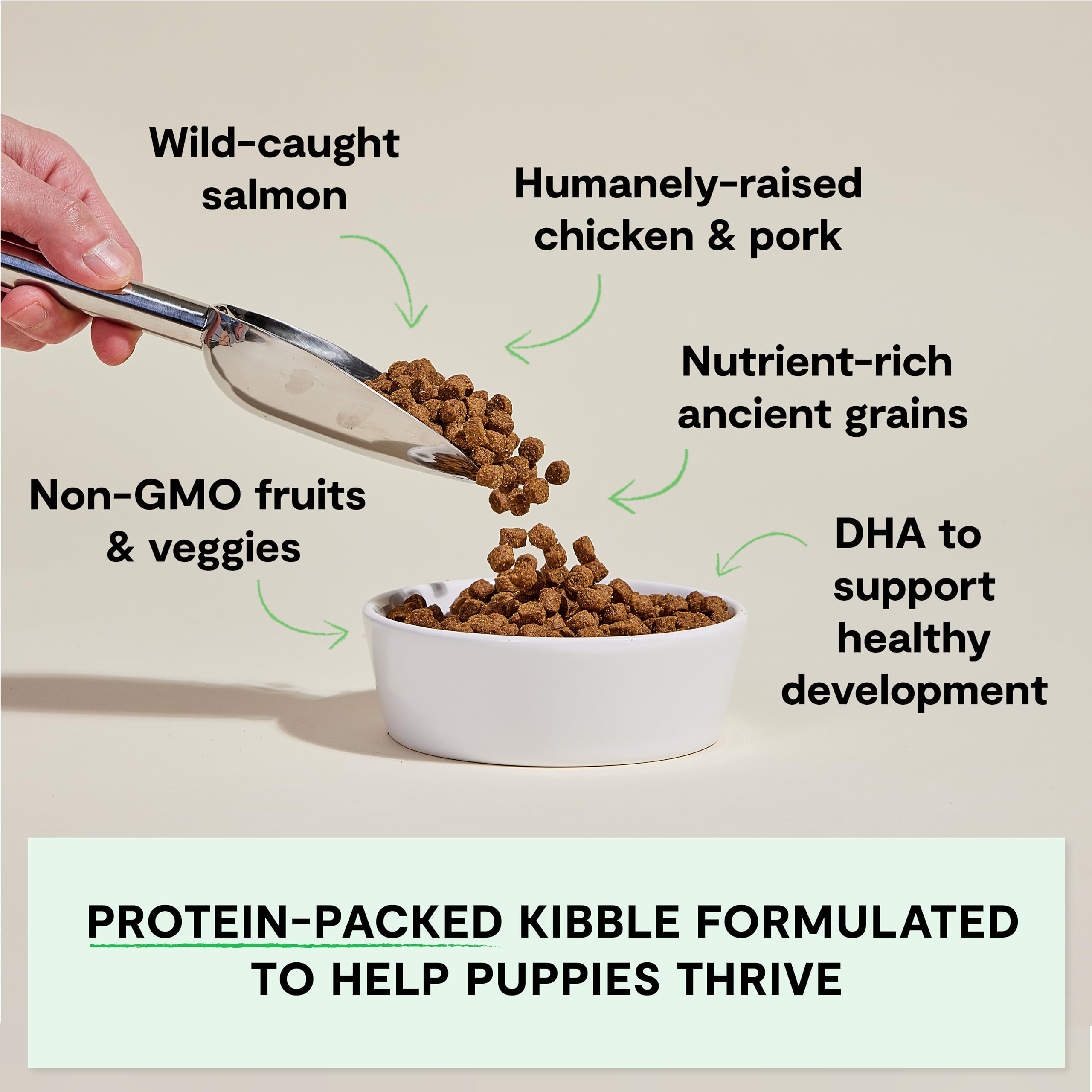 Open Farm traceable ingredients badge demonstrates transparency from source to bowl.