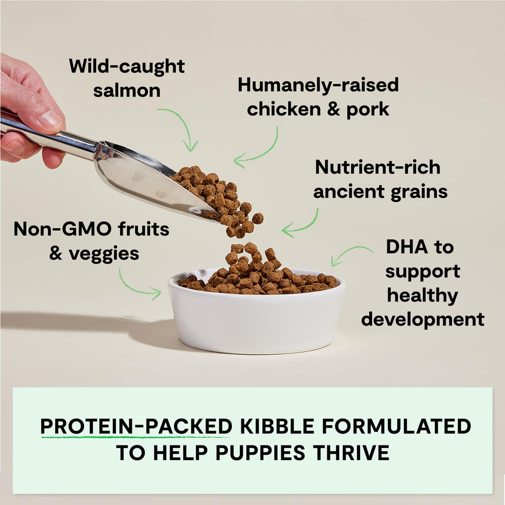 Open Farm traceable ingredients badge demonstrates transparency from source to bowl.