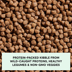 Open Farm traceable ingredients label communicates total transparency for mealtime choices.