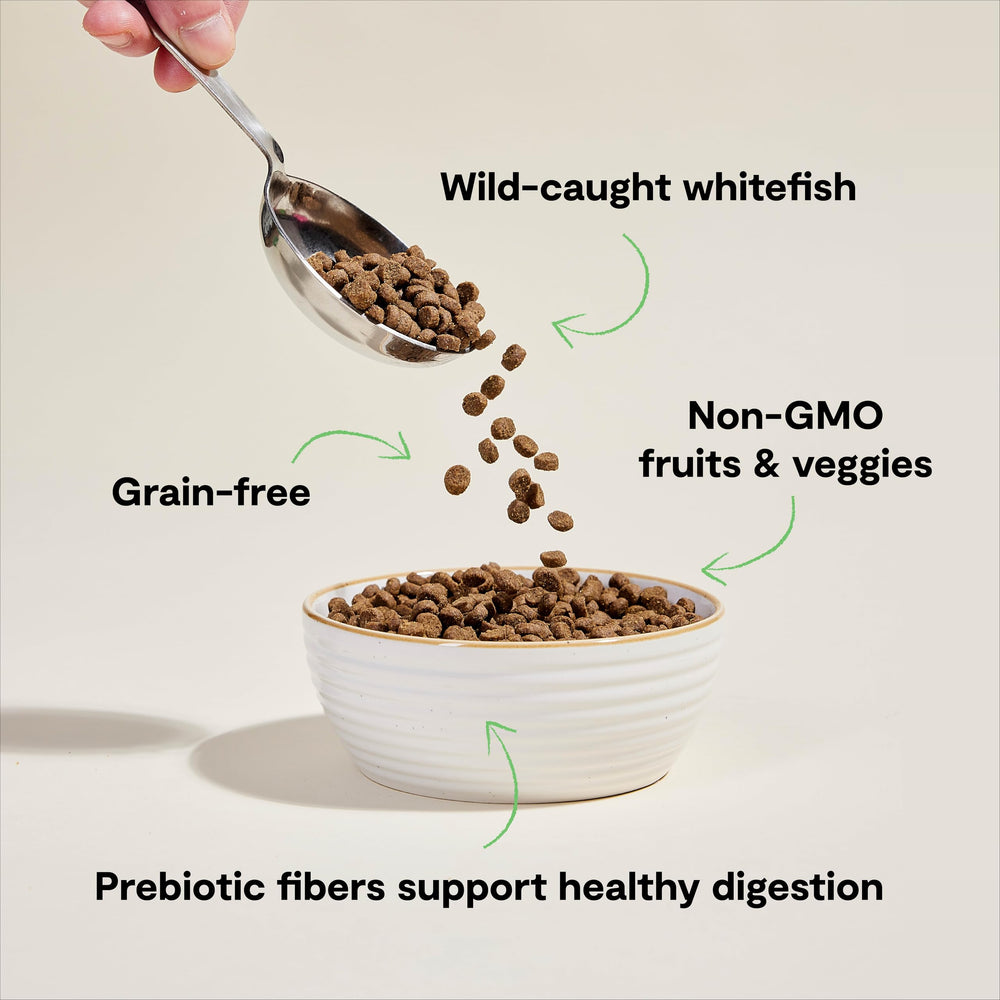Open Farm traceable ingredients map image emphasizing full ingredient transparency and trusted sourcing.