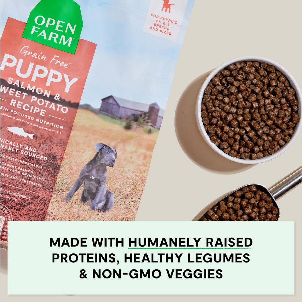 Open Farm transparent ingredients label emphasizes traceability and absence of artificial flavors.