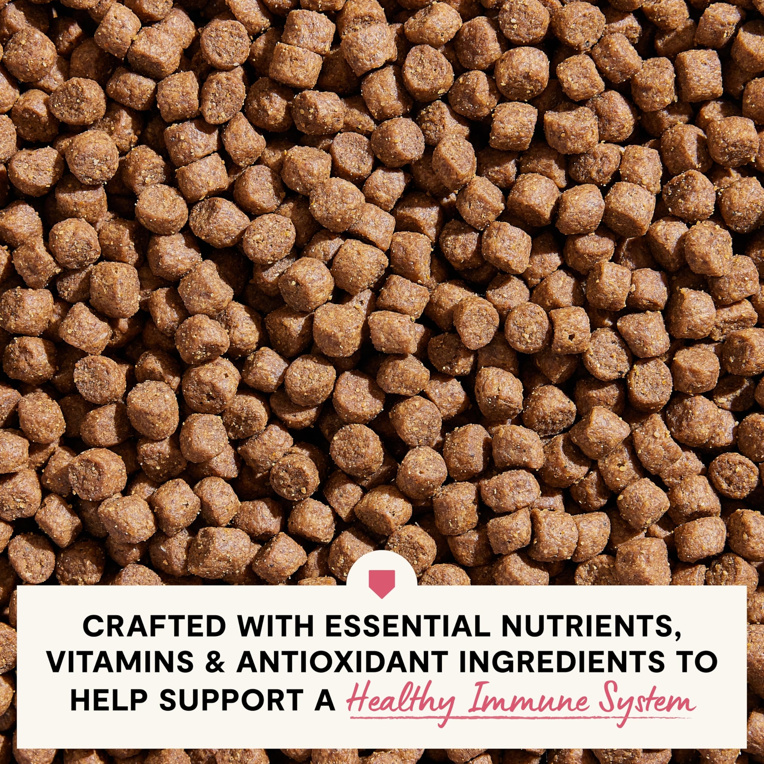 Open Farm veterinarian-formulated kibble close-up showing balanced nutrition