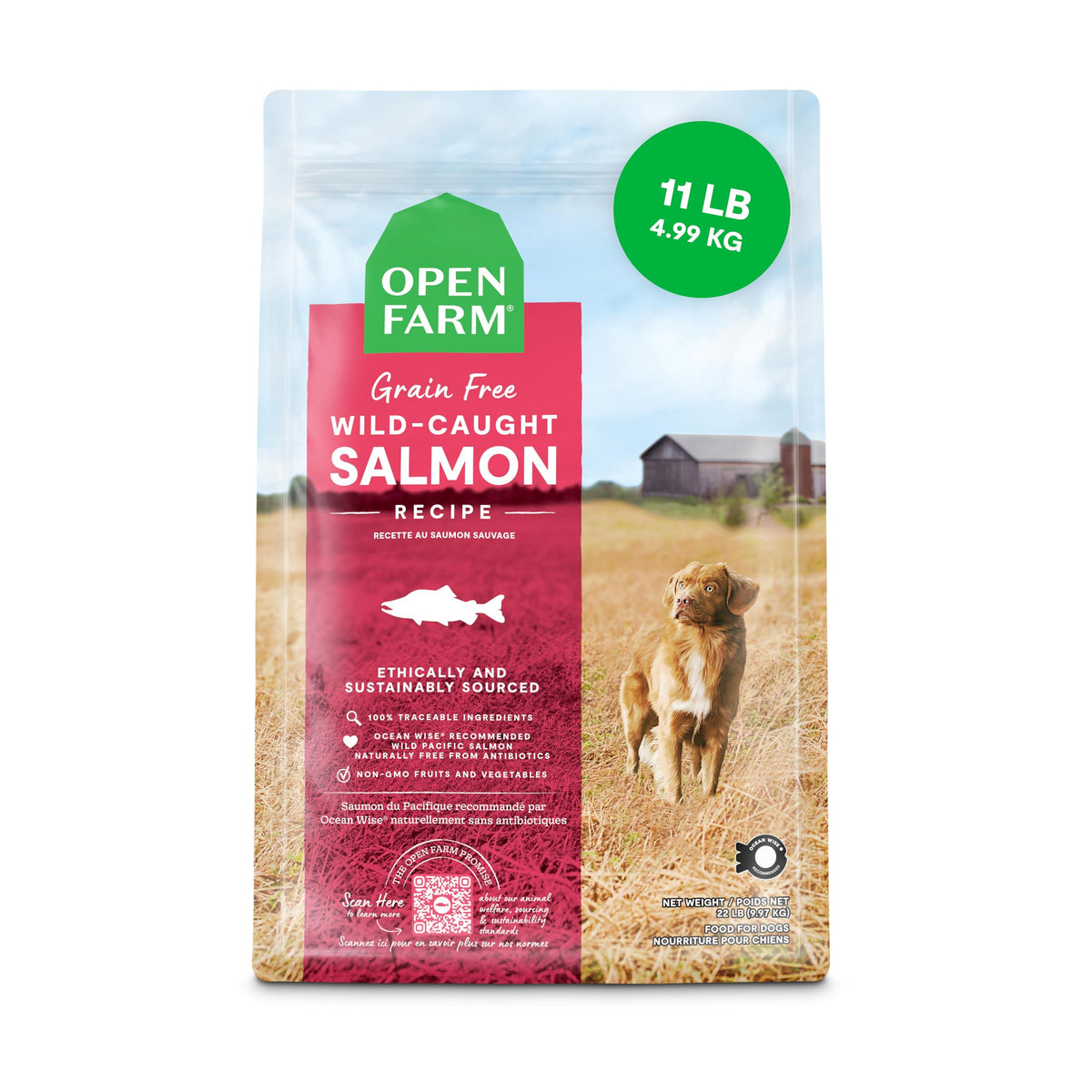 Open Farm wild-caught salmon kibble bowl supports overall health with high-quality protein.