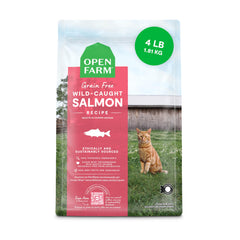 Open Farm wild salmon kibble in a bowl supports high-protein grain-free cat nutrition