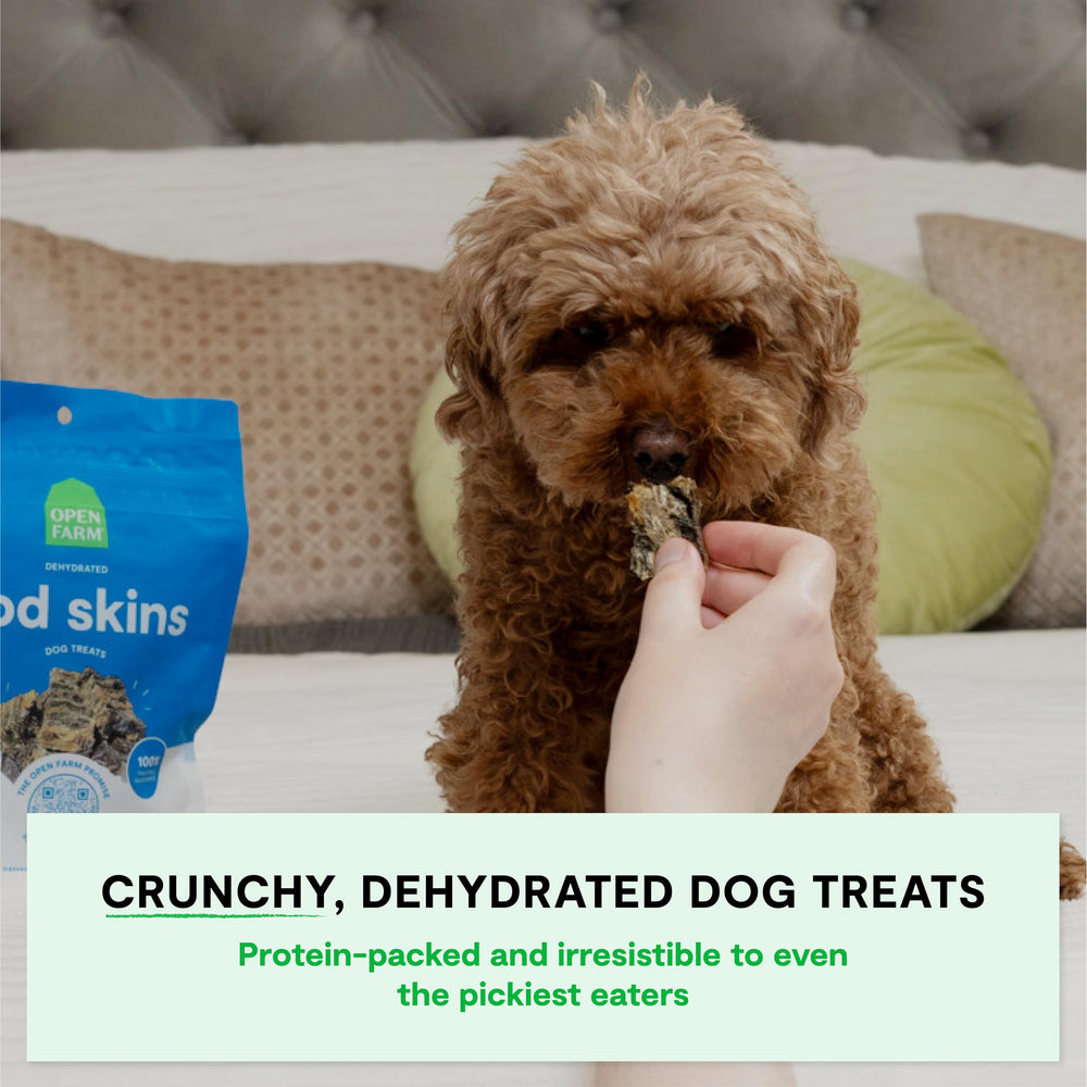 Open Farm cod skins crunchy treats emphasize a high-protein, low-carb option for dogs.