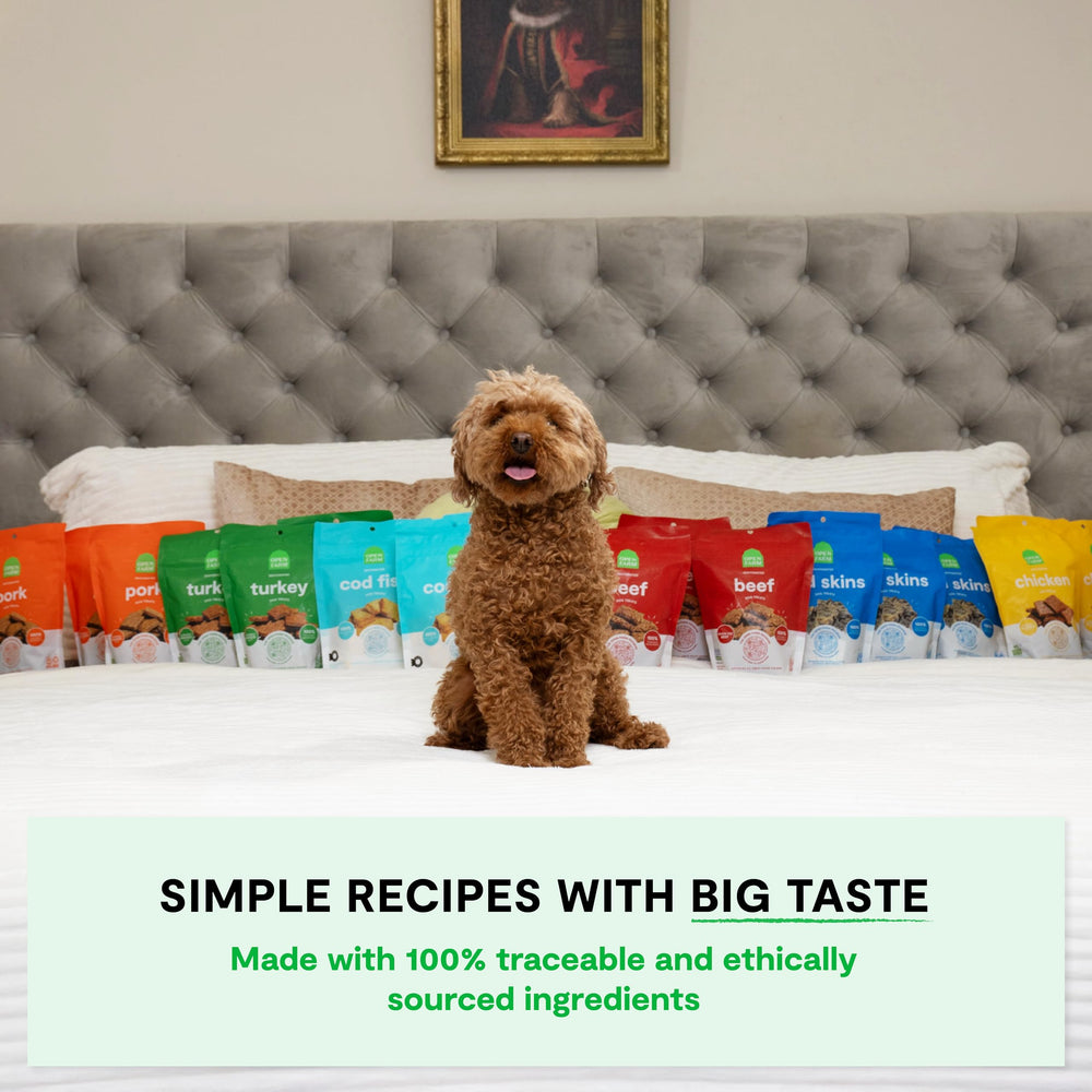Open Farm dehydrated dog treats pack demonstrates convenient, portable training rewards.