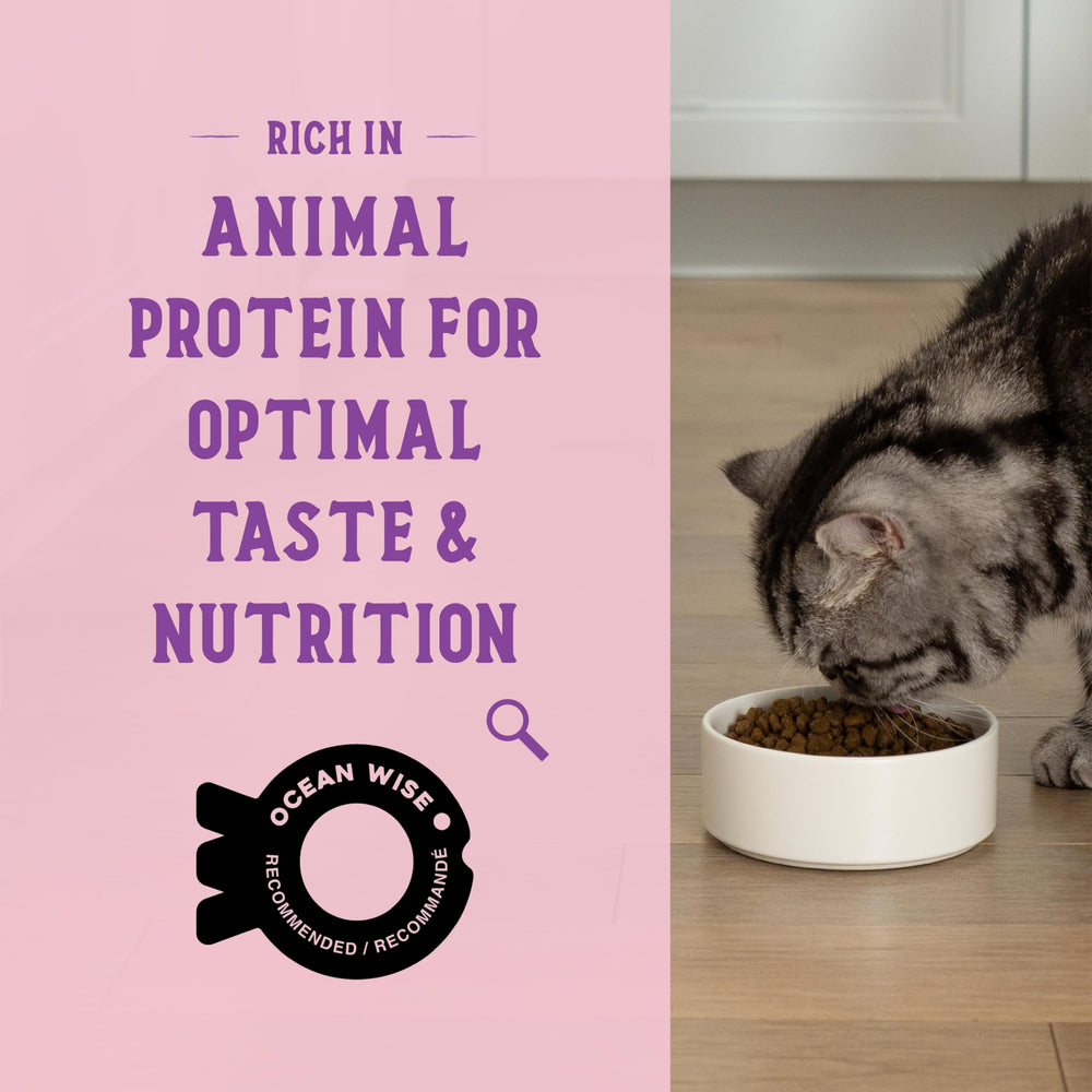 Open Farm Goodbowl-usa-made-label highlights traceable ingredients and ethical farming.