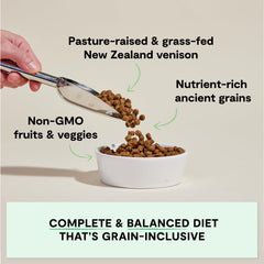 Open Farm New Zealand venison bowl, savory aroma for meal time