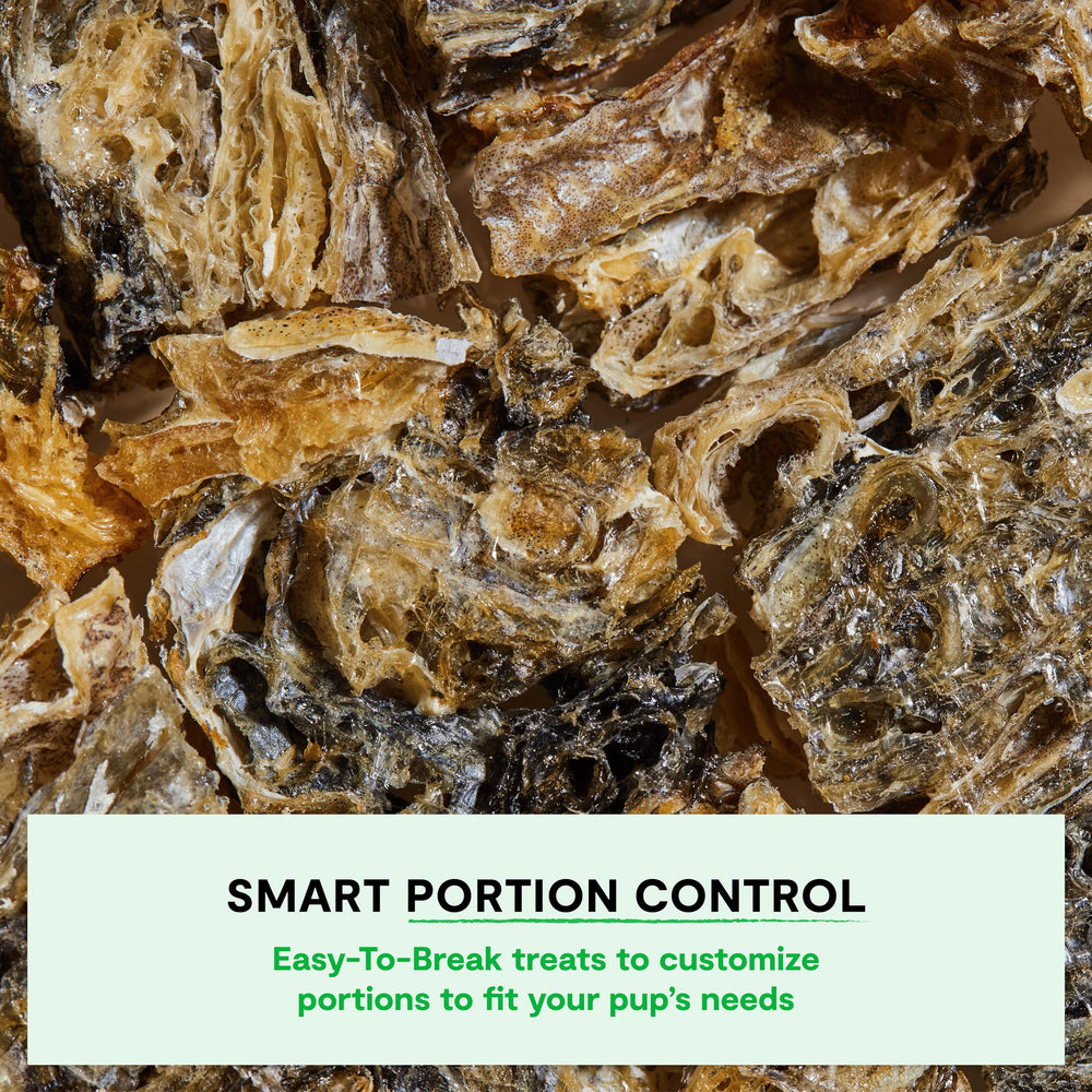 Open Farm single-ingredient protein dog treat highlights pure cod skins for simple snacking.