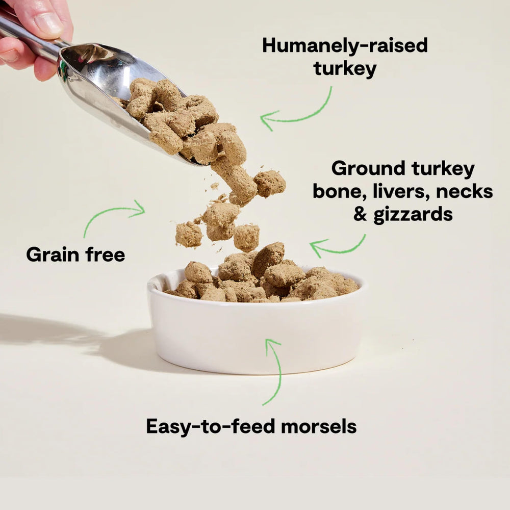 Open Farm Turkey Recipe Morsels bowl-serving shows aroma and texture for meal enhancement