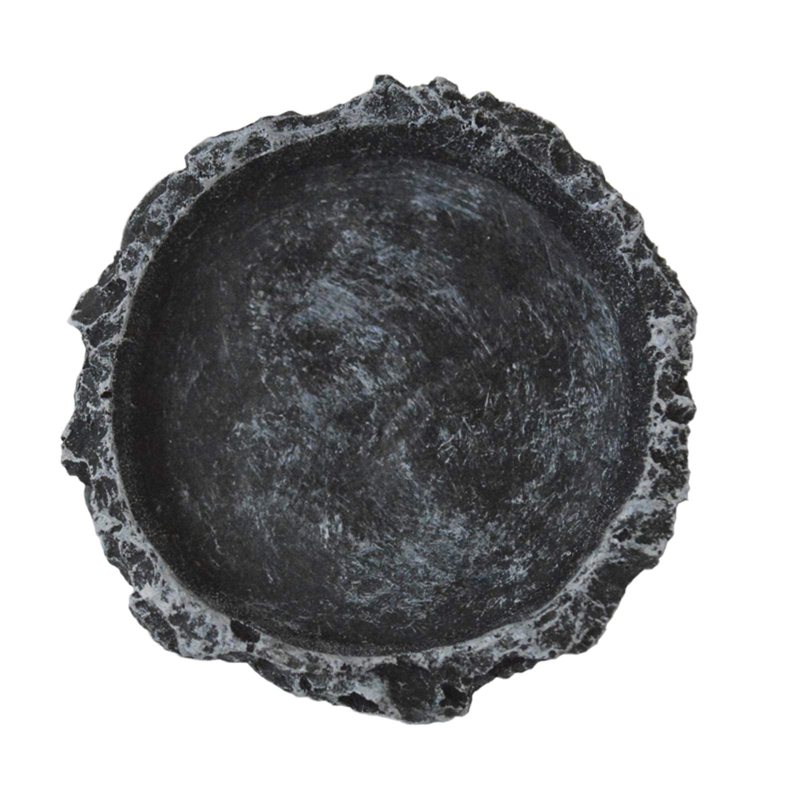 OperSeven leopard gecko feeding bowl demonstrates rock-inspired aesthetics and easy cleanup.