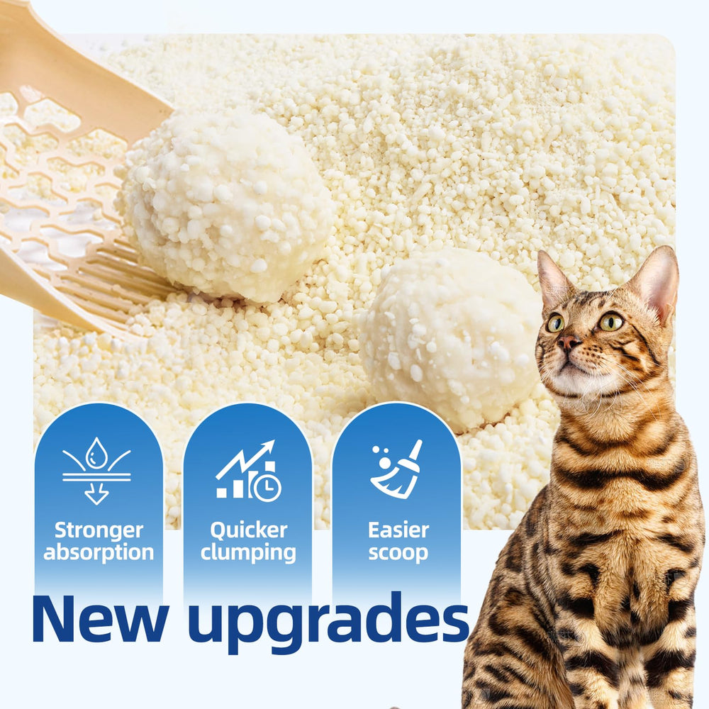 OPET Tapioca Cat Litter odor control keeps rooms fresher.