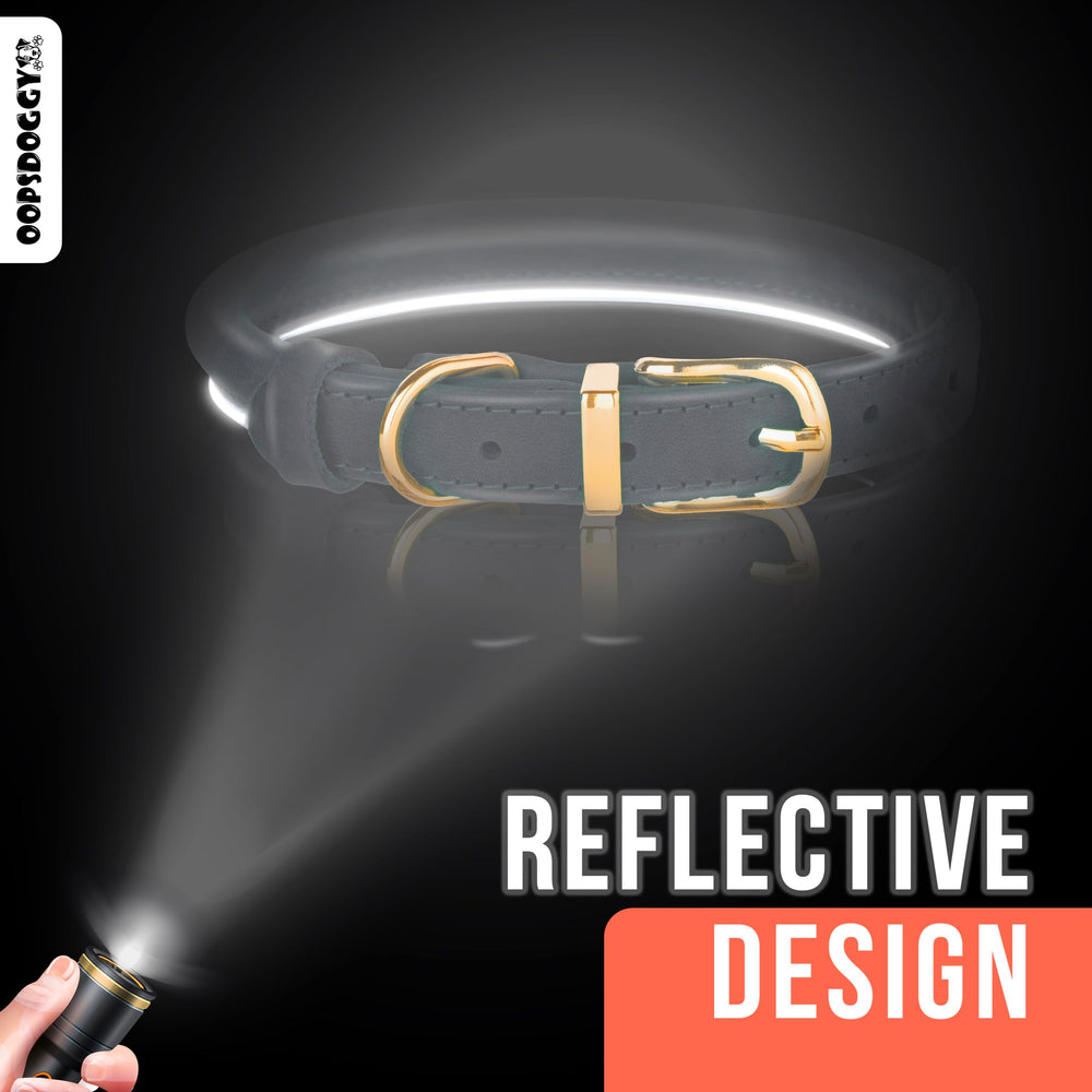 OOPSDOGGY black XXS collar on dog model showing secure buckle for everyday wear.