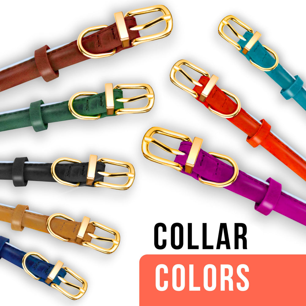 OOPSDOGGY reflective thread detail increases visibility during dusk walks.
