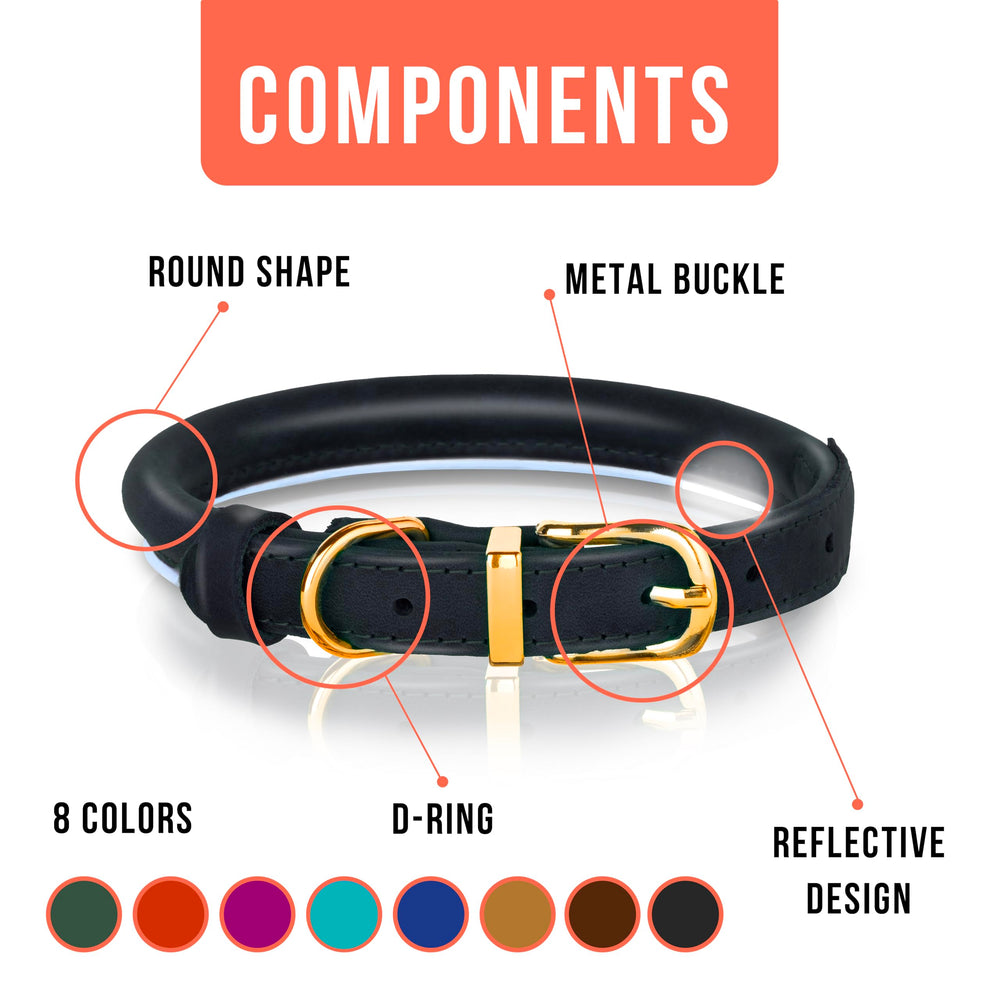 OOPSDOGGY reflective stitching close-up emphasizes safety during evening walks.