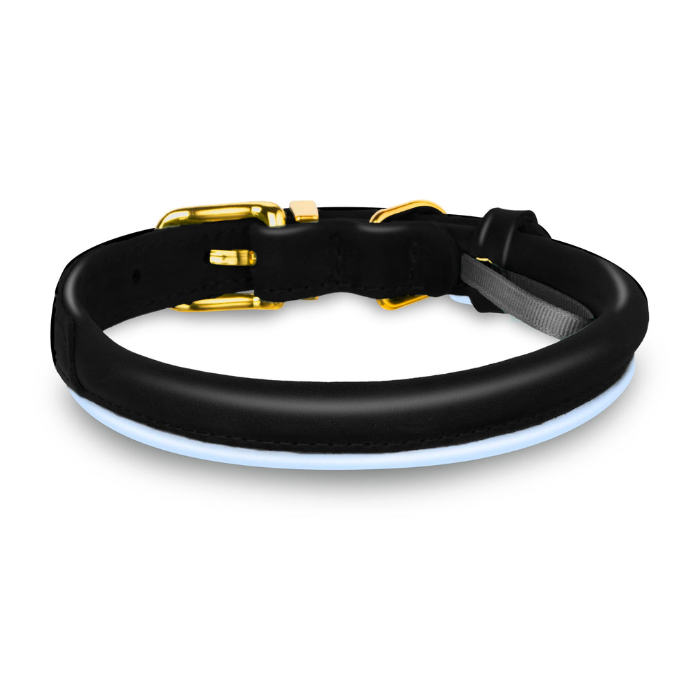 OOPSDOGGY rolled leather collar side view shows soft padding for comfort.