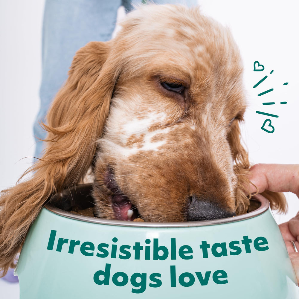 Optimeal Toy Breed Dry Dog Food digestive-support closeup features prebiotic fibers for comfortable digestion