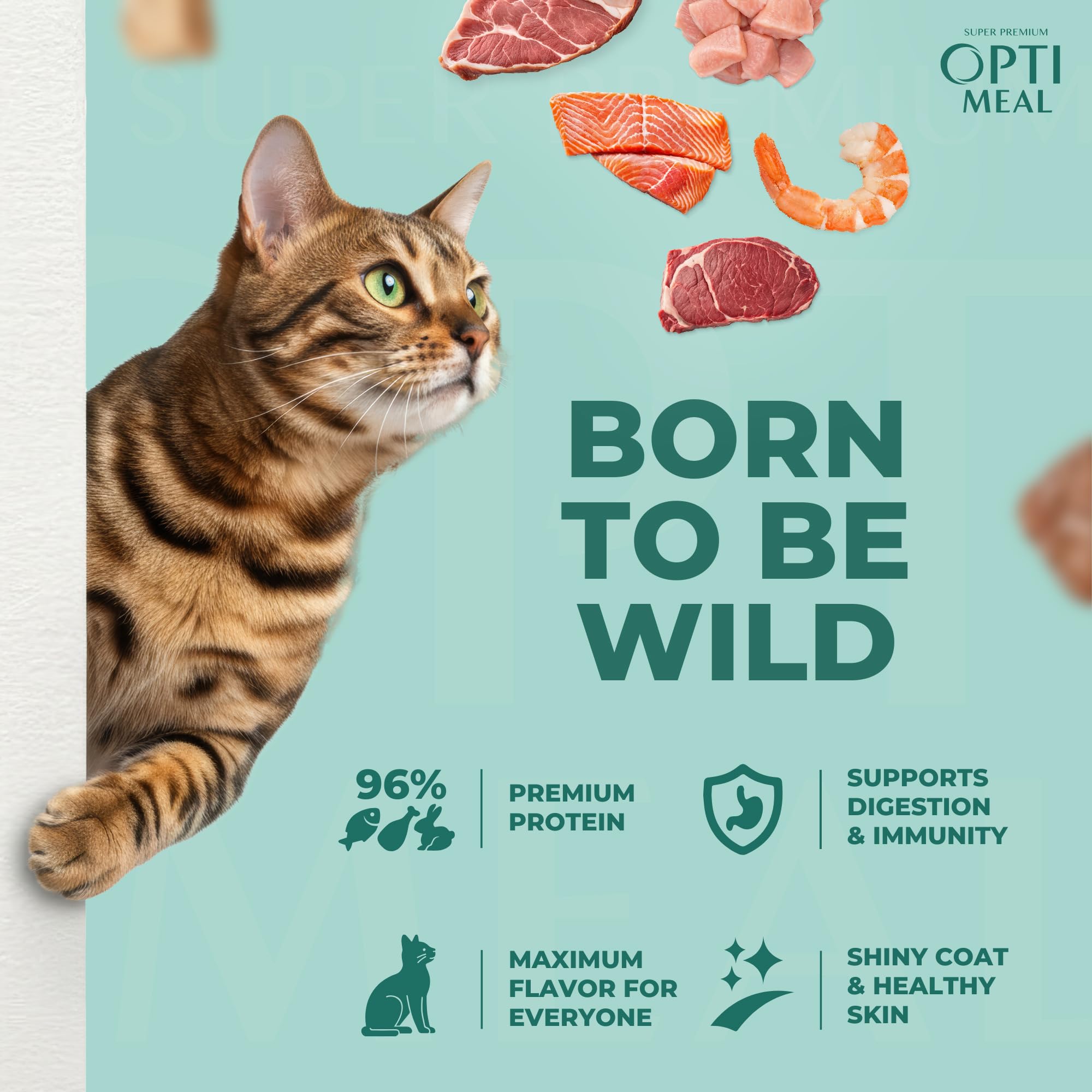 Optimeal Wet Cat Variety Pack savory gravy demonstrates complete nutrition with flavorful gravy