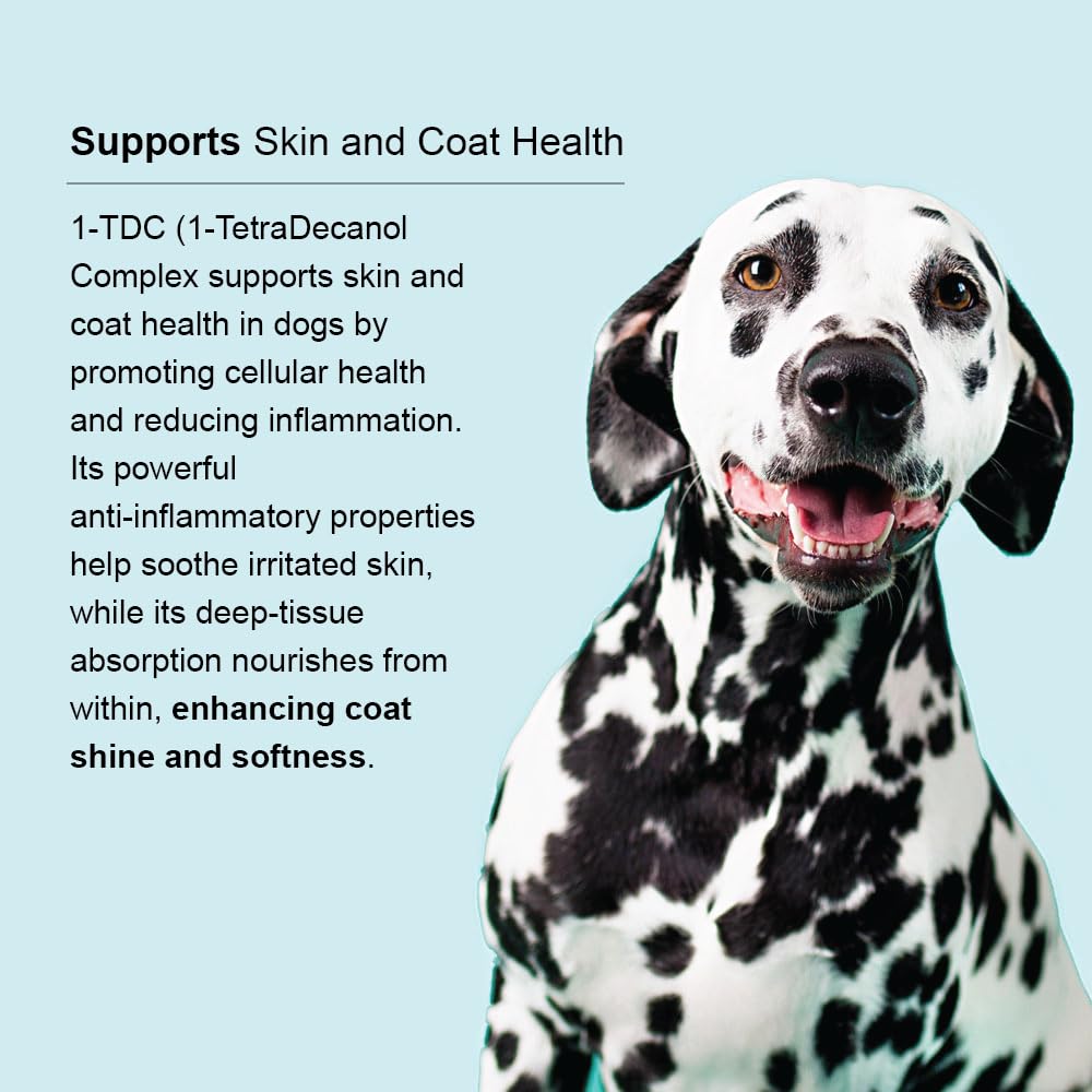 Ora-Clens 1-TDC cat joint support image suggesting broader wellness benefits.