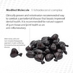 Ora-Clens 1-TDC vet-recommended label signaling trusted oral health support.