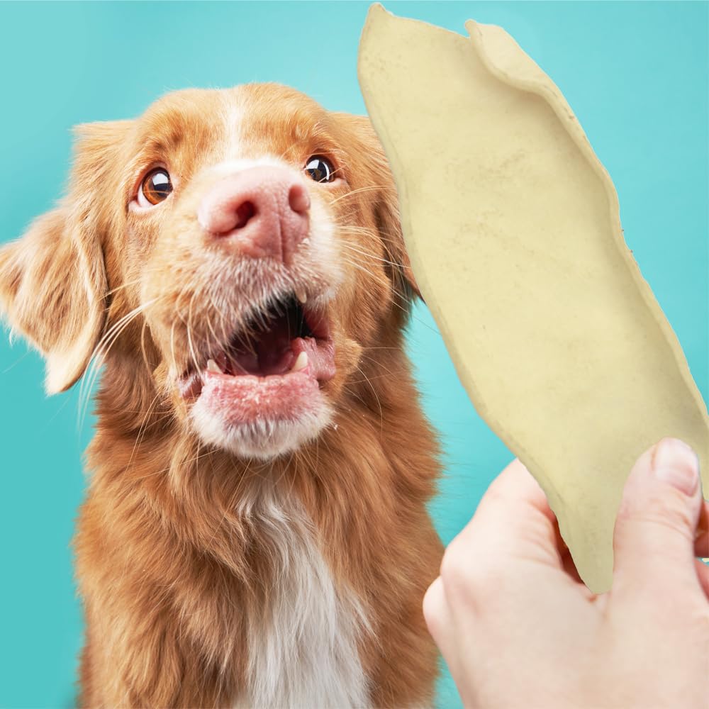 Dog enjoying Ora-Clens chew during playtime.