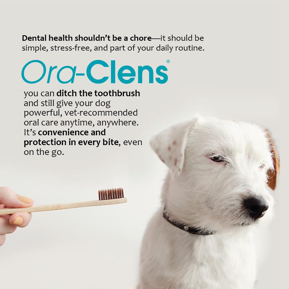 Ora-Clens dog mouth cleanliness result photo suggests improved hygiene after use.