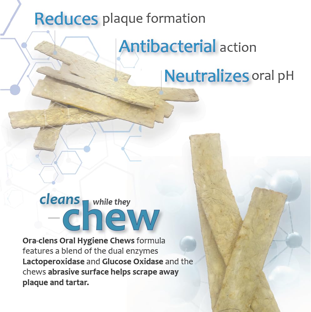 Ora-Clens dog treat used during morning routine with dog.