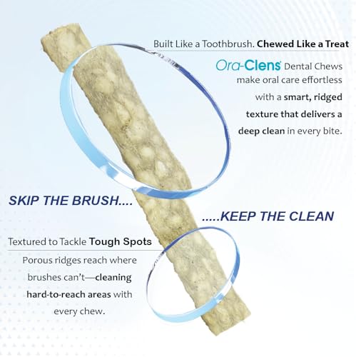 Ora-Clens poultry-flavor chews demonstrated as tasty dog treat during routine.
