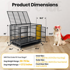 Oranland baseplate upgrade 250lbs supports heavy dogs with stable flooring.