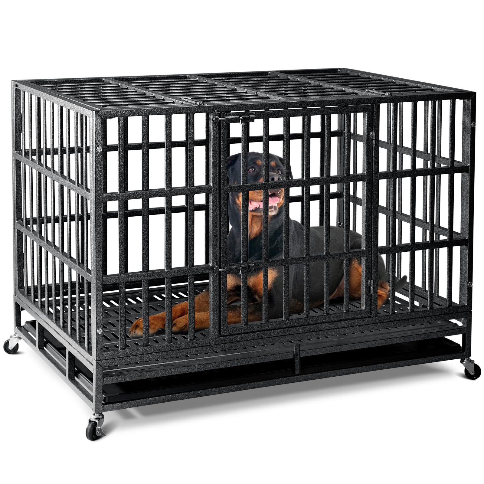 Oranland crate noise reduced by adding a soft blanket.