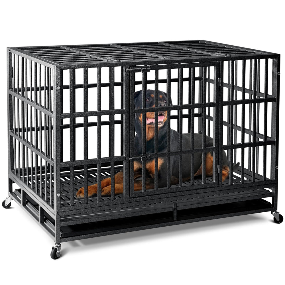 Oranland crate noise reduced by adding a soft blanket.