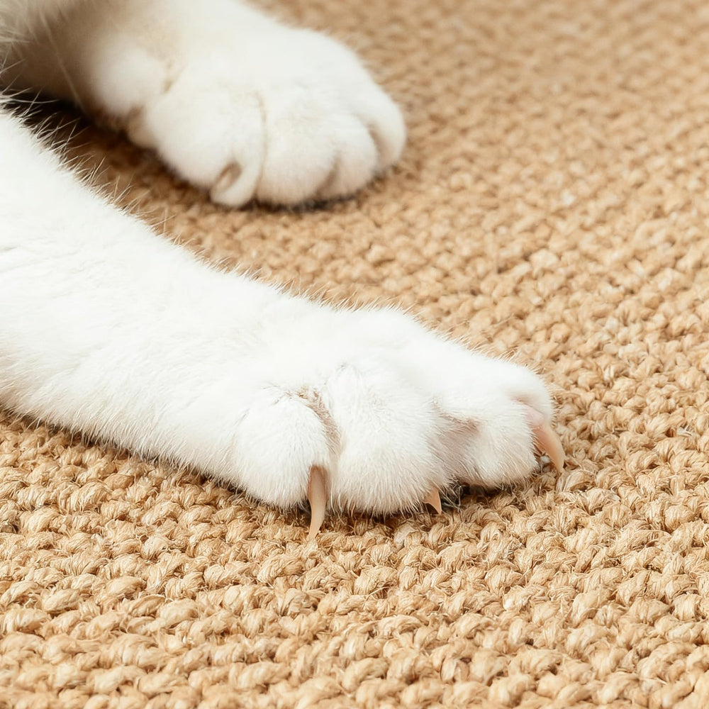 Ordora sisal replacement mat for existing scratcher board refreshing your setup