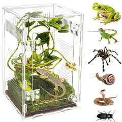 Orekemo acrylic jumping spider habitat with 360-degree visibility for easy monitoring.