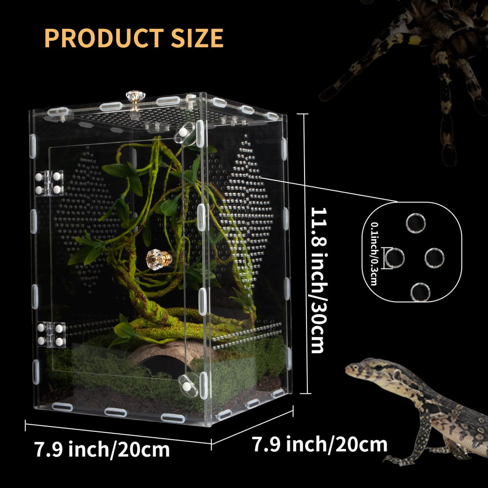 Orekemo terrarium 360° visibility highlights unobstructed views of arachnids and geckos