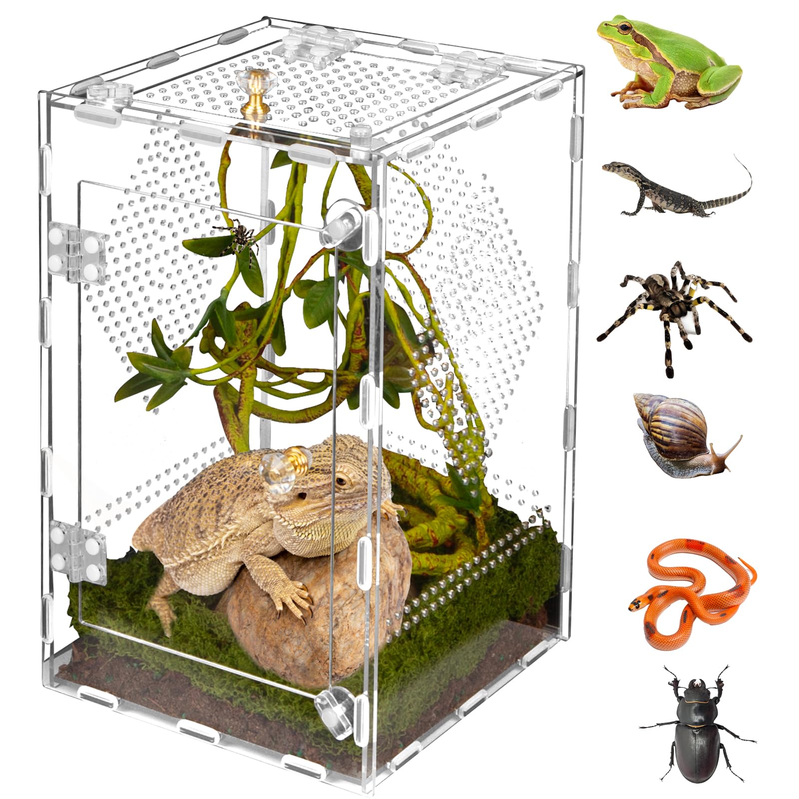 Orekemo acrylic reptile terrarium front view for easy pet monitoring and viewing