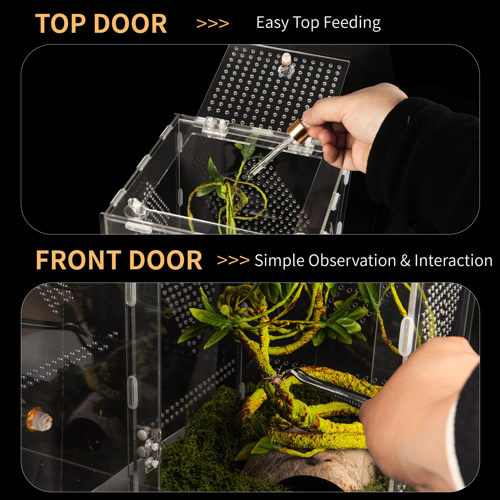 Orekemo terrarium twist-lock door and ventilation support secure, well-ventilated habitats