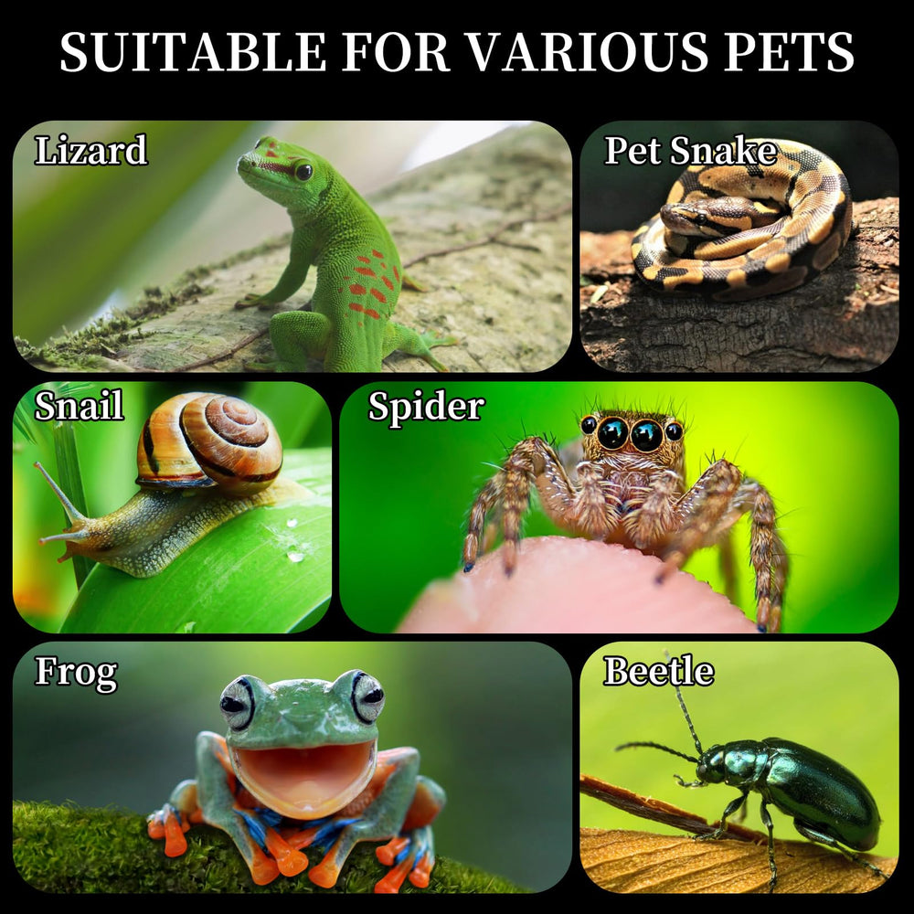 Orekemo multi-species habitat supports geckos, mantises, tarantulas, and frogs.