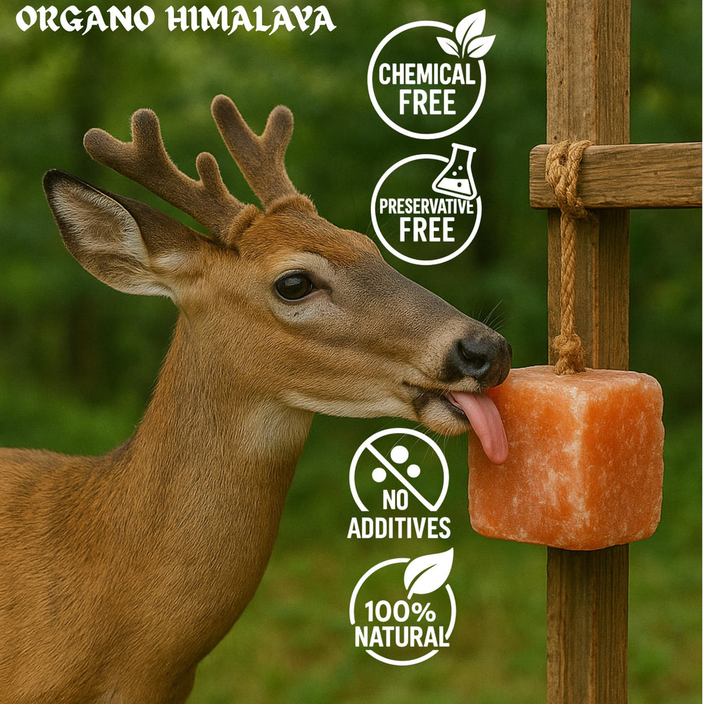 Organo Himalaya Himalayan salt lick for cattle and sheep supports daily electrolyte balance.