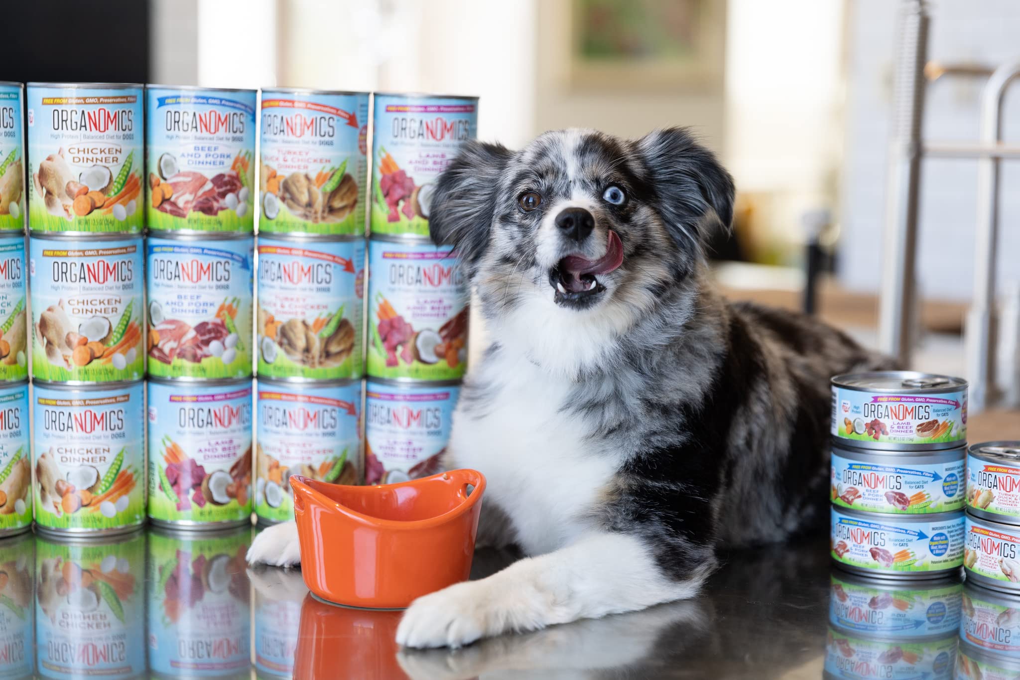OrgaNOMics Salmon and Duck Dinner bowl shows grain-free meal for finicky cats.