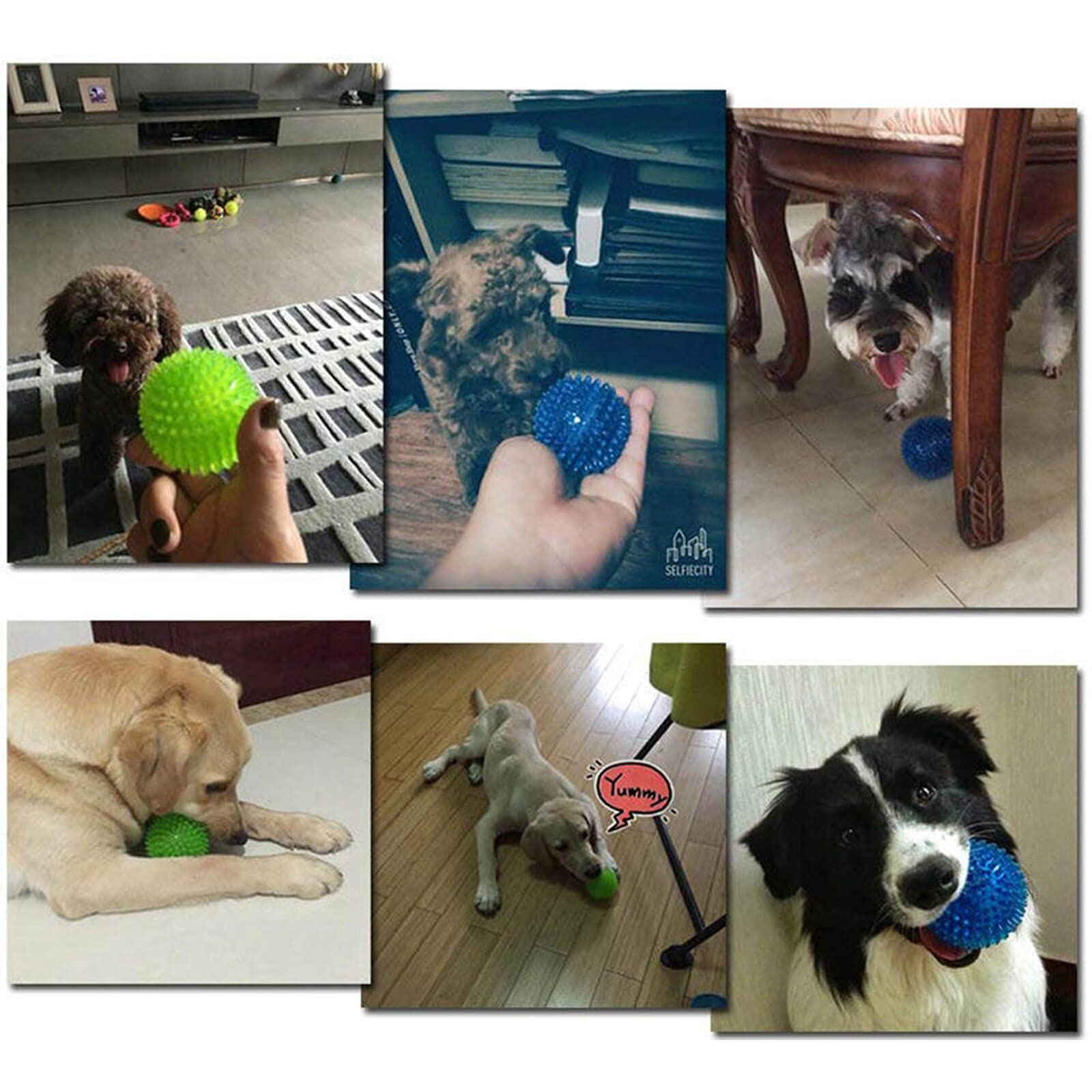 Orgrimmar durable squeaky ball being tested for chew resistance