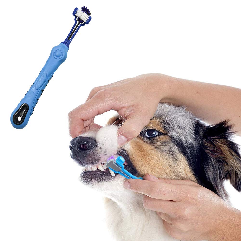 Orgrimmar 3-Sided Pet Toothbrush orange suitable for versatile dental care