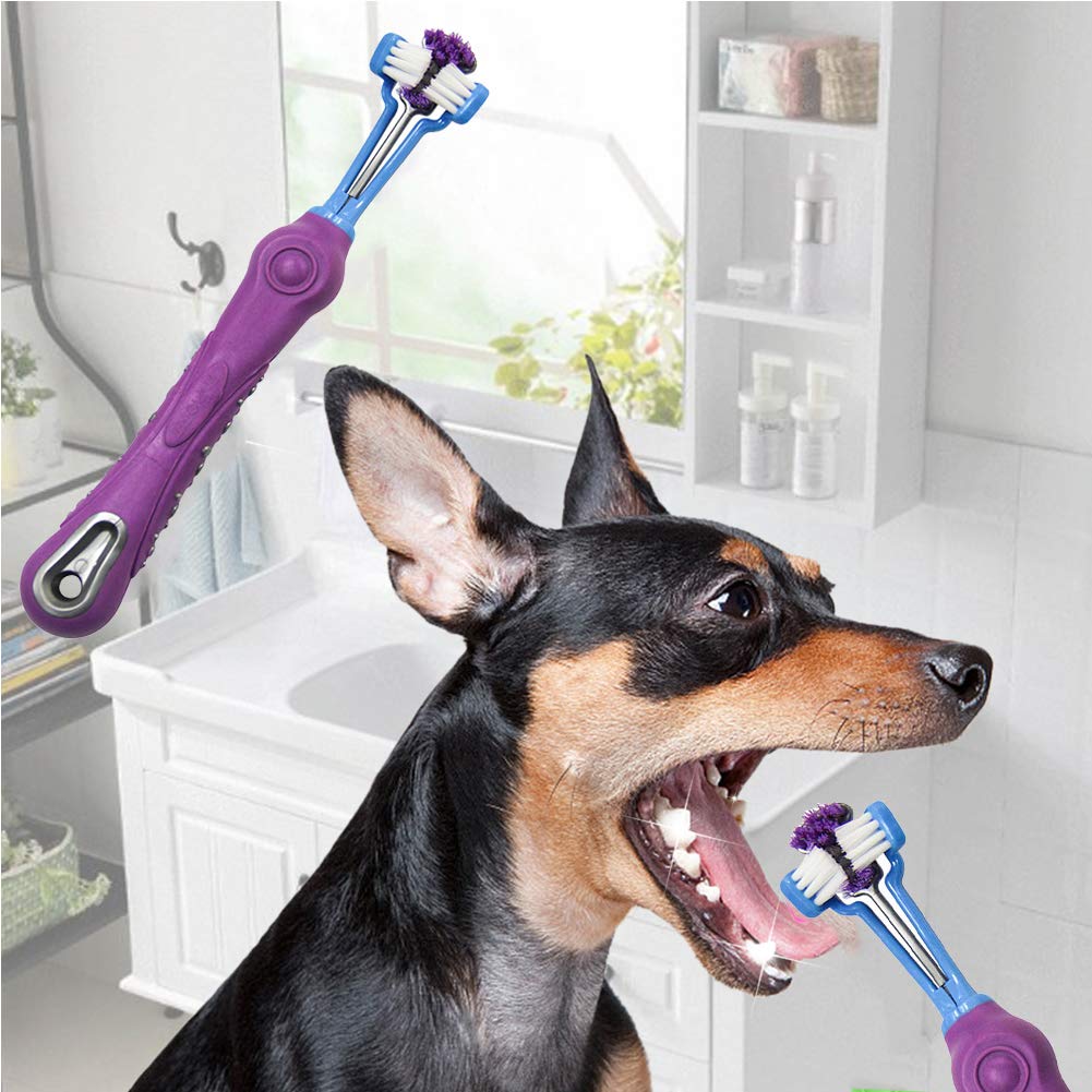Orgrimmar 3-Sided Pet Toothbrush white for easy cleaning routine