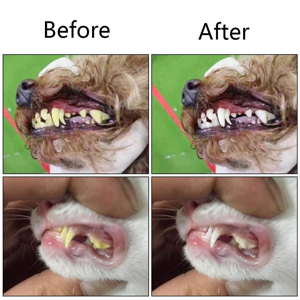Orgrimmar tongue cleaner at the bottom helps quick mouth care after brushing.