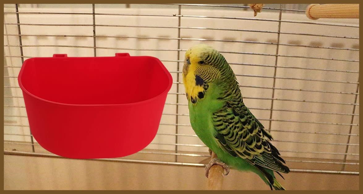 ORIBUKI cage cups used as birdbath option with 25 oz capacity