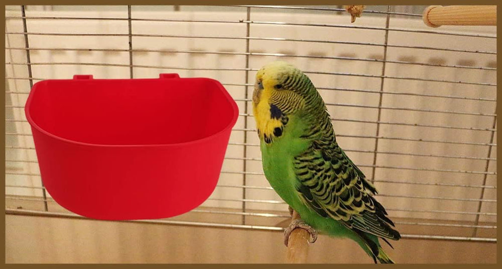 ORIBUKI cage cups used as birdbath option with 25 oz capacity