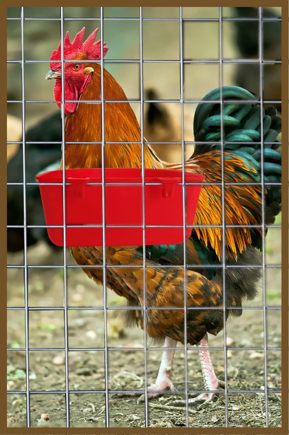 ORIBUKI cage cups on cage hook for stable attachment