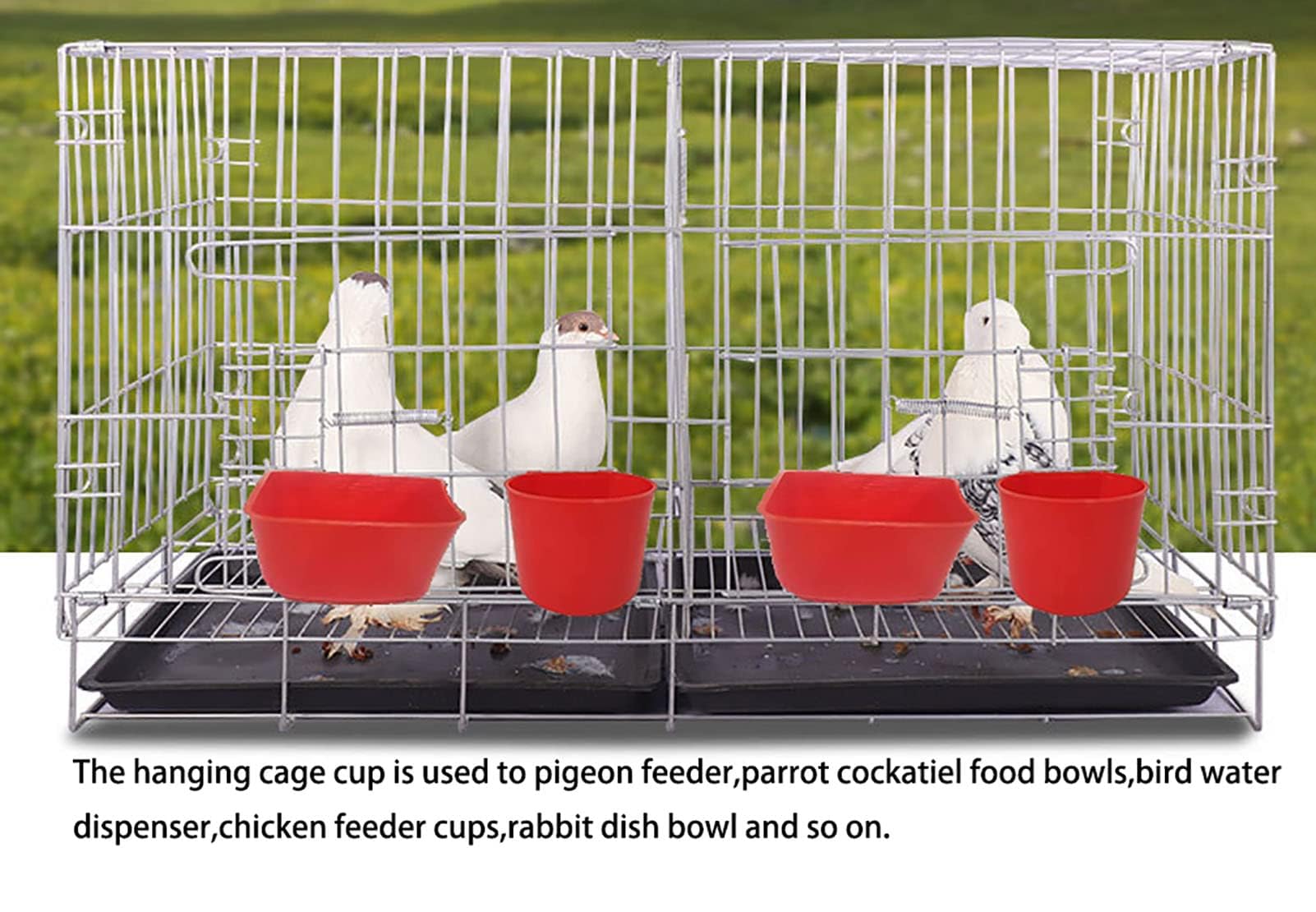 ORIBUKI Cage Cups pack of 10pcs ideal for multiple cages.